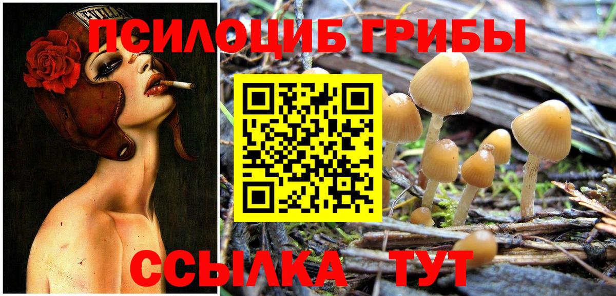 Псилоцибиновые грибы мицелий Усть-Илимск