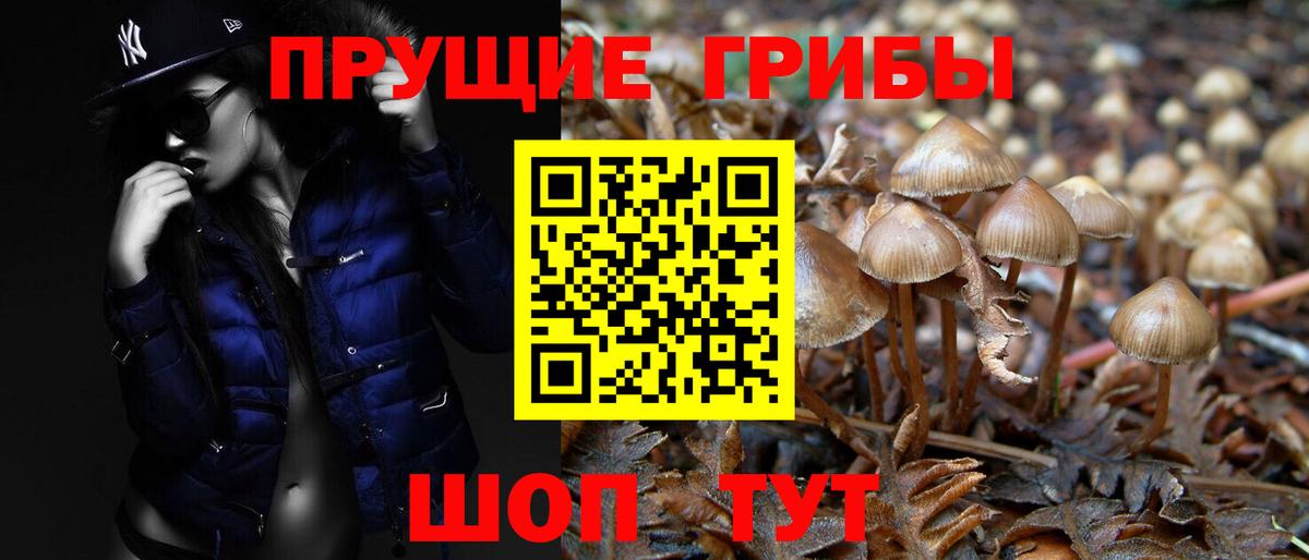 закладки  Галлюциногенные грибы мицелий  Вход с VPN  Усть-Илимск 
